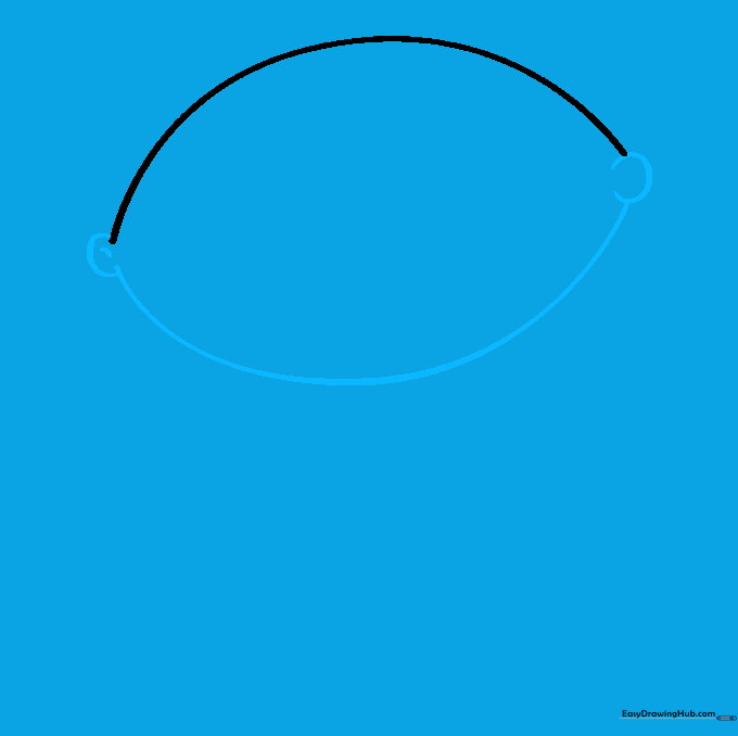 The completed football-shaped outline of Stewie's head with small ear details.