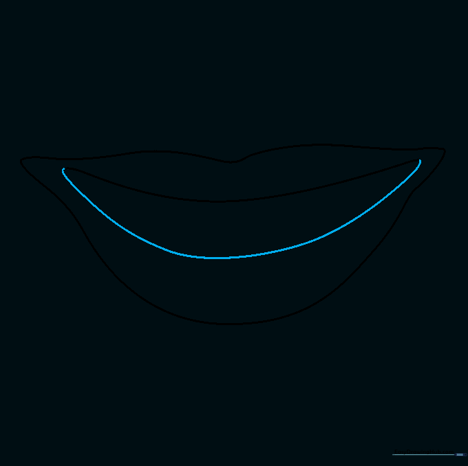 Drawing showing the completed outline of the lower lip.