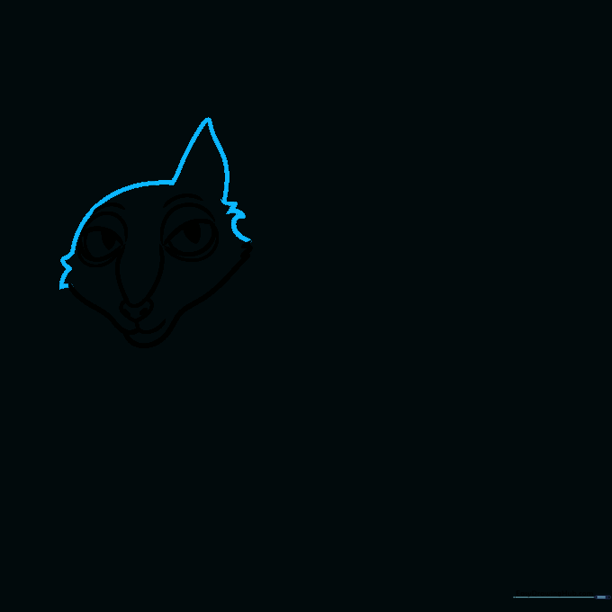 Outlining the cat's head shape with fur tufts on the sides.