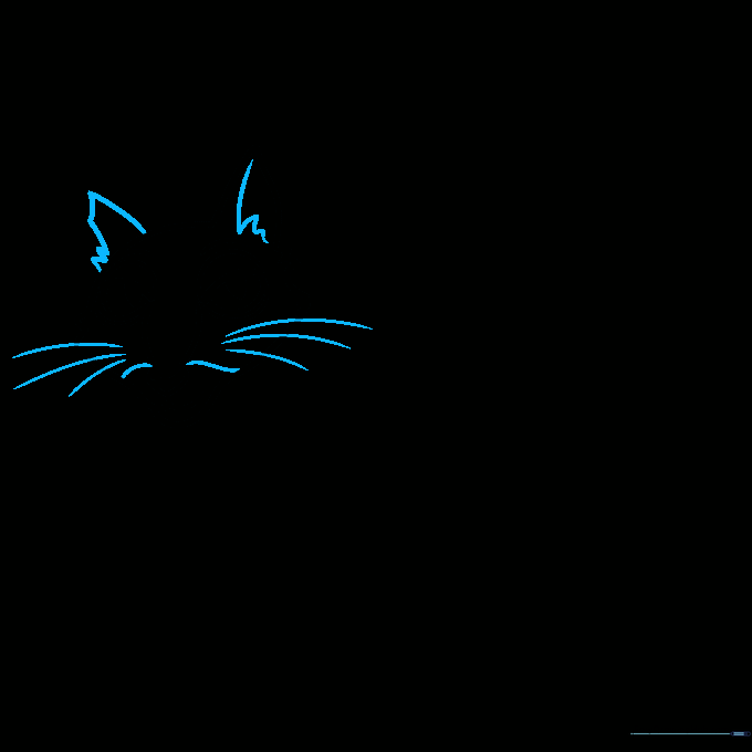 Adding the cat's ears and long whiskers to the face sketch.