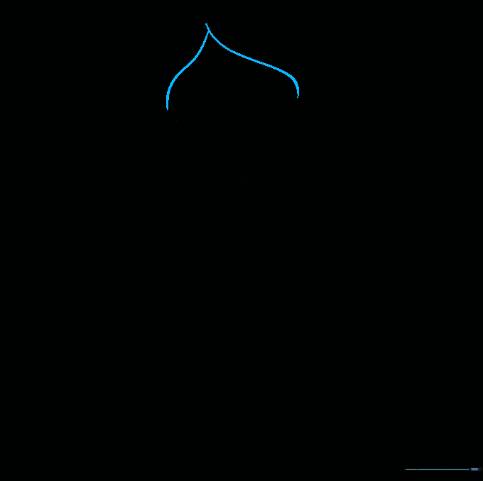 Adding the hairline to the facial structure using curved lines.