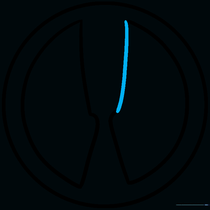 The second eye patch shape completed on the right side.