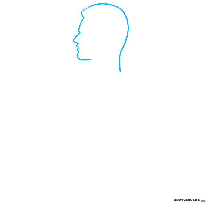 Profile outline of a human head drawn with light pencil strokes for an anatomy diagram.