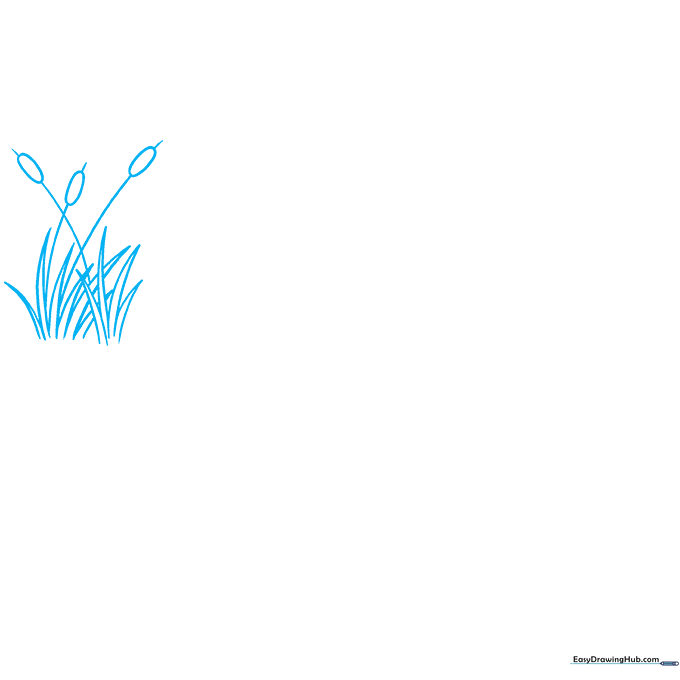 Pencil sketch of cattail plants showing long leaves and oval tops as the base of a food chain.