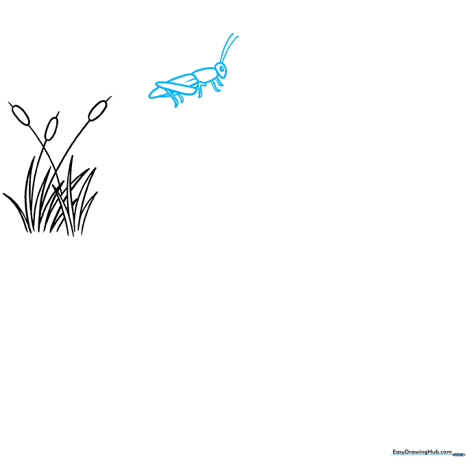Line drawing of a grasshopper with detailed legs and antennae, positioned next to the plants.