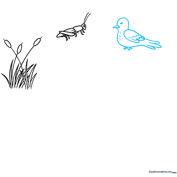 Outline of a pigeon showing wing feathers and beak, representing a bird in the food chain.
