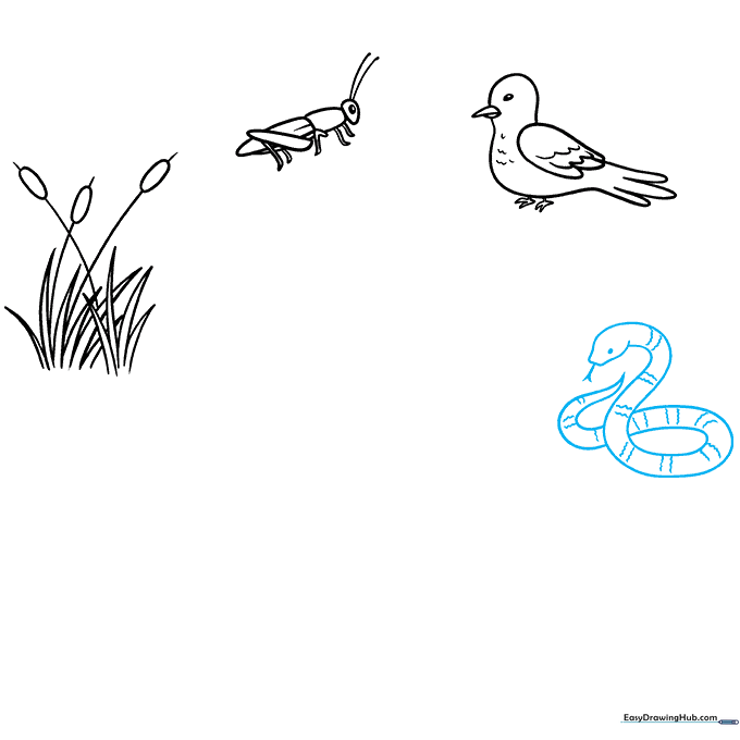 Detailed sketch of a snake with a forked tongue and patterned scales.