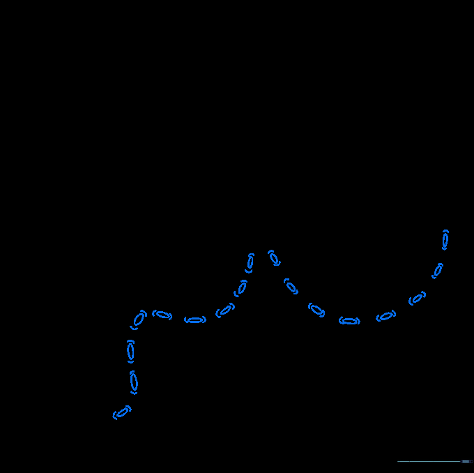 The Kraken drawing with all suction cups completed and guide lines removed.