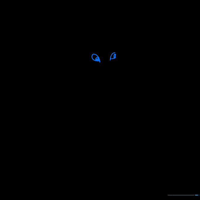 The Kraken's face with two expressive, teardrop-shaped eyes added.
