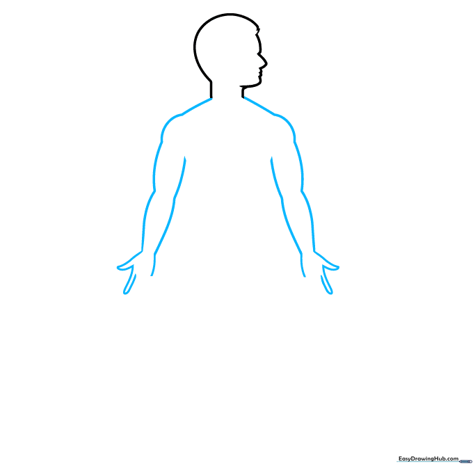 Drawing the shoulders and arm outlines as a foundation for the nervous system diagram.