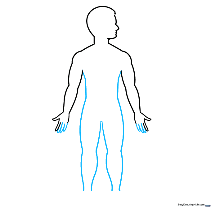 Full body outline of a person, including torso and legs, for the anatomy lesson.