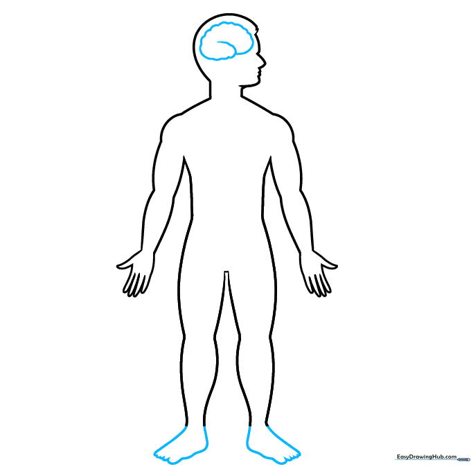 Adding the brain structure inside the head outline using wavy, textured lines.