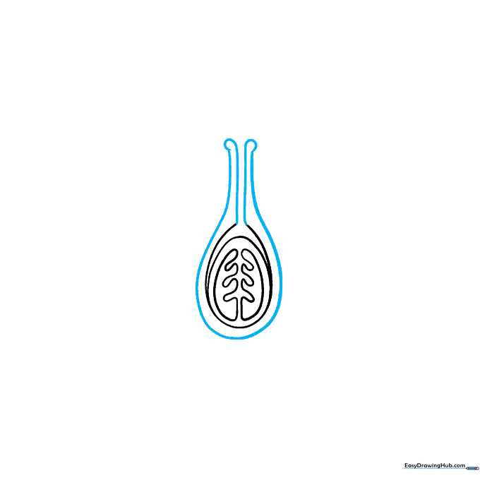 Adding the pistil structure, including the style and stigma, to the flower diagram.