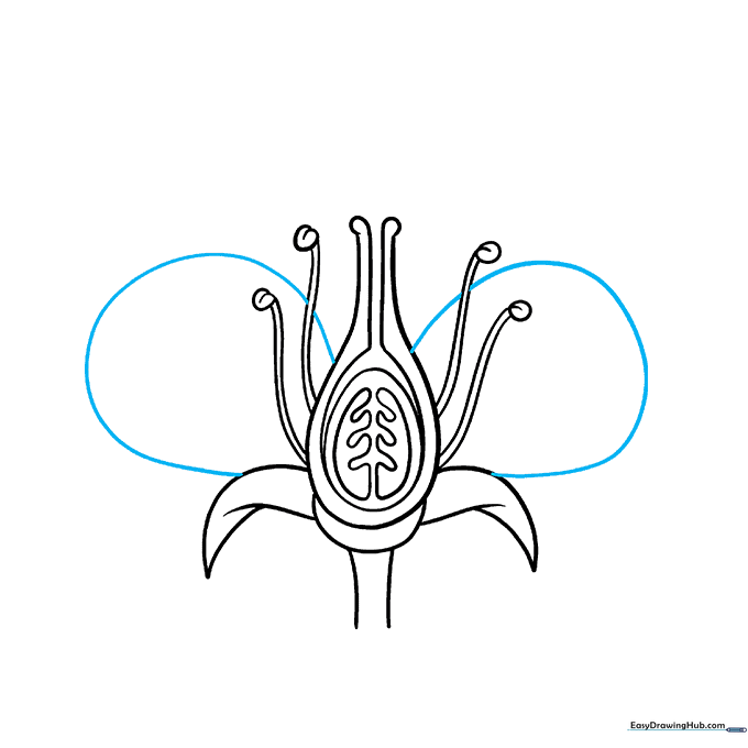 Adding large, rounded petals to the flower structure.