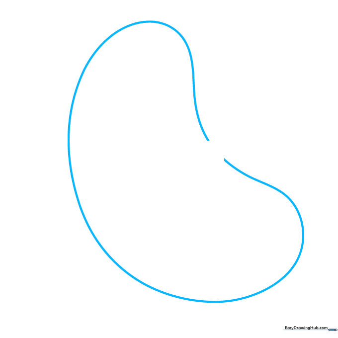 Pencil sketch of a bean-shaped seed outline on white paper.