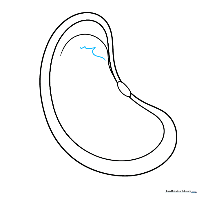 Adding a zigzag line to form the plumule of the seed.