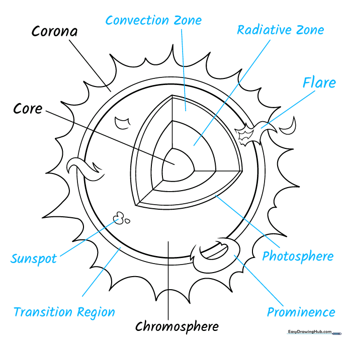The completed sun diagram with all scientific labels clearly marked.