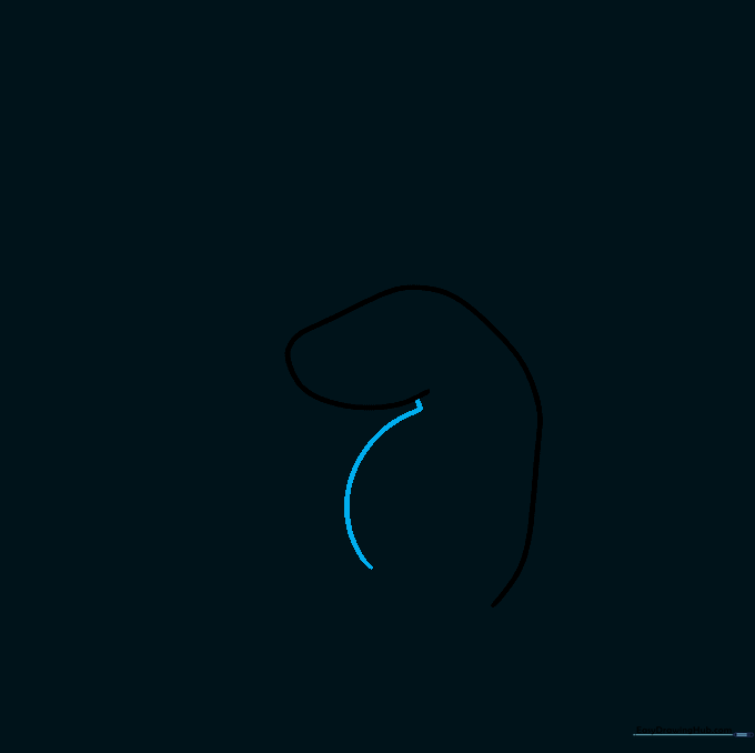 Drawing the fleshy palm base connected to the thumb outline.