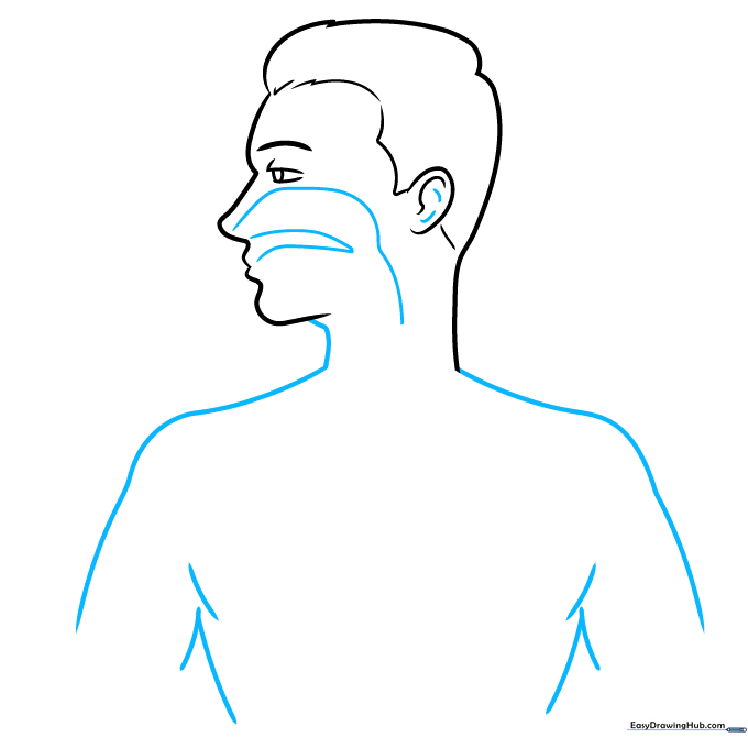 Outlining the shoulders and starting the internal airway diagram inside the chest.