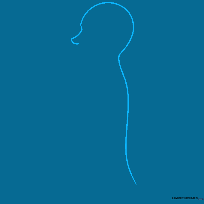 Profile silhouette of a human head and shoulders showing the initial sketch lines for the back.
