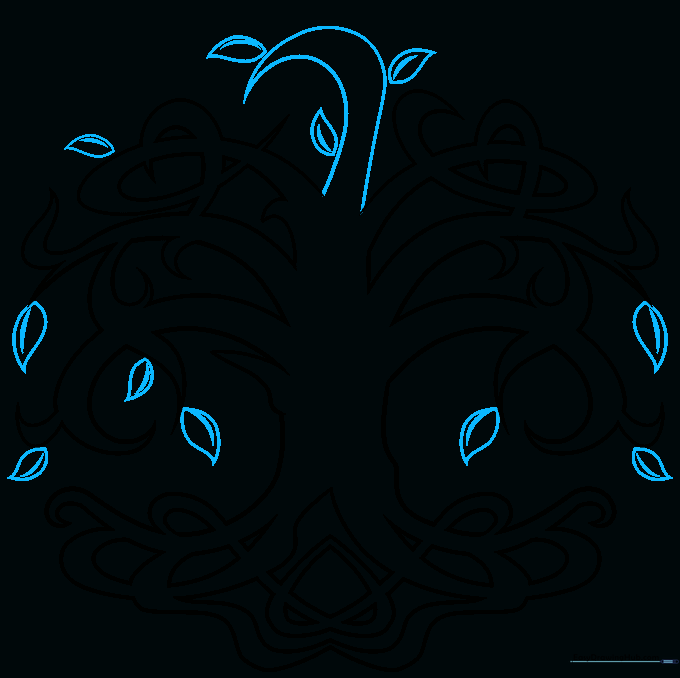 The crown of the tree with initial leaf placements.