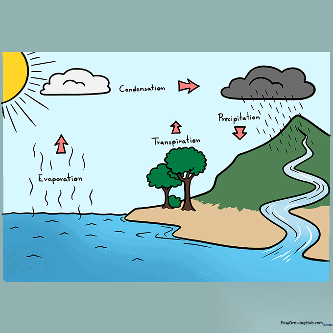 The completed, colored water cycle diagram showing all elements and labels.