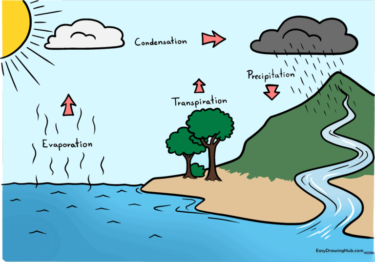 A colorful, educational illustration of the water cycle featuring a mountain, river, and clouds.