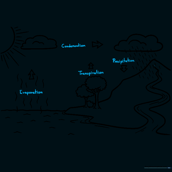 Adding labels for Evaporation, Transpiration, Condensation, and Precipitation to the diagram.