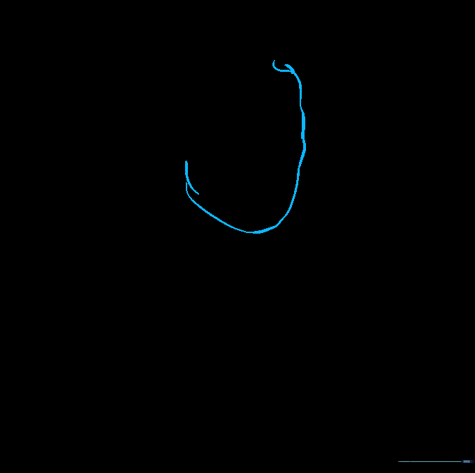 Pencil sketch showing the basic outline of Thomas Jefferson's face and jawline.