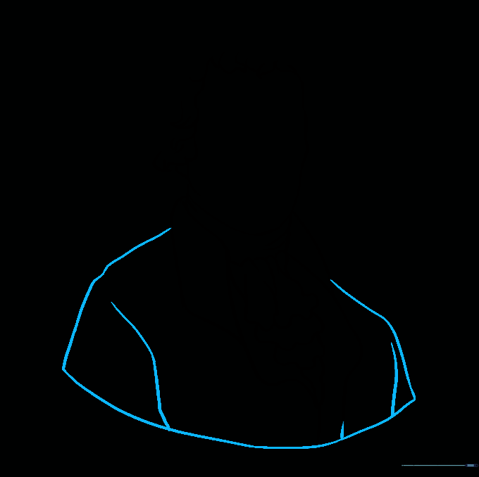 Drawing the shoulders and base to create a bust-style portrait.