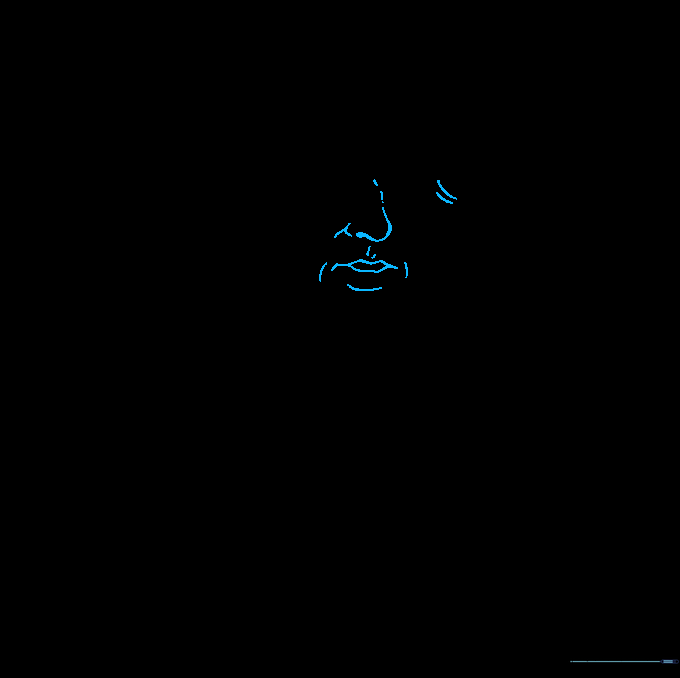 Adding the nose, mouth, and final facial shading lines.