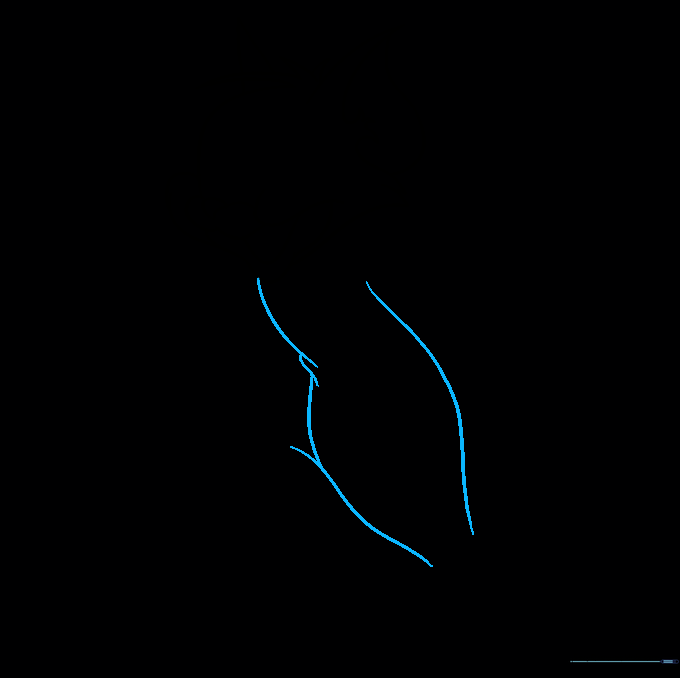 Outline of Tom's torso showing the connection between chest and belly.