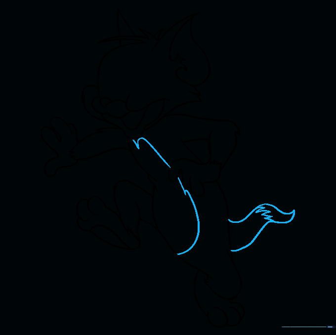 Drawing of Tom's belly patch and long, curved tail.