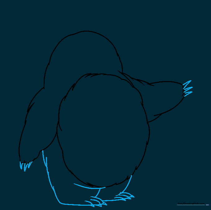 Detailed drawing of Totoro's hands with claws and large feet with toenails.