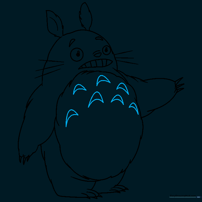 Totoro's chest featuring several boomerang-shaped patterns.