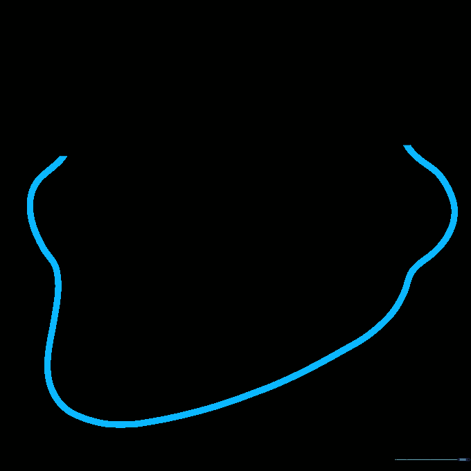 Drawing the lower jaw and chin curves.