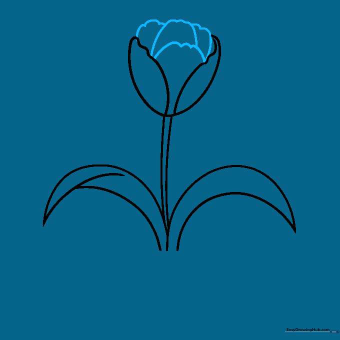 Adding detail to the first tulip blossom using overlapping wavy lines.