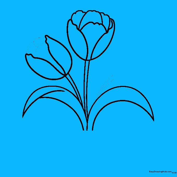 Adding the stem for a third tulip flower to the existing arrangement.