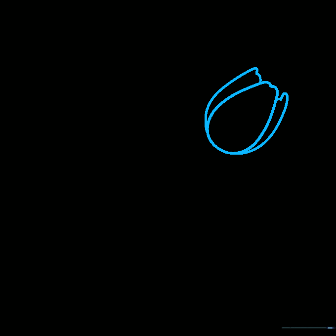 Outlining the petals of the third tulip using long, graceful curved lines.