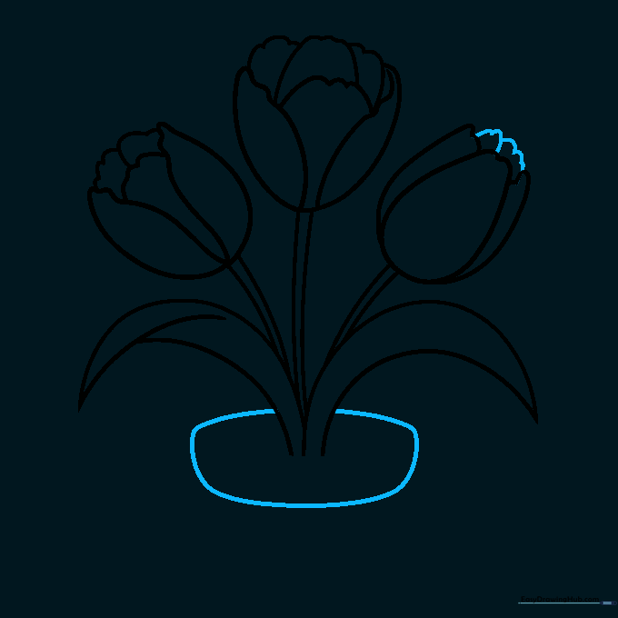 Sketching the rim of the flower pot beneath the stems.