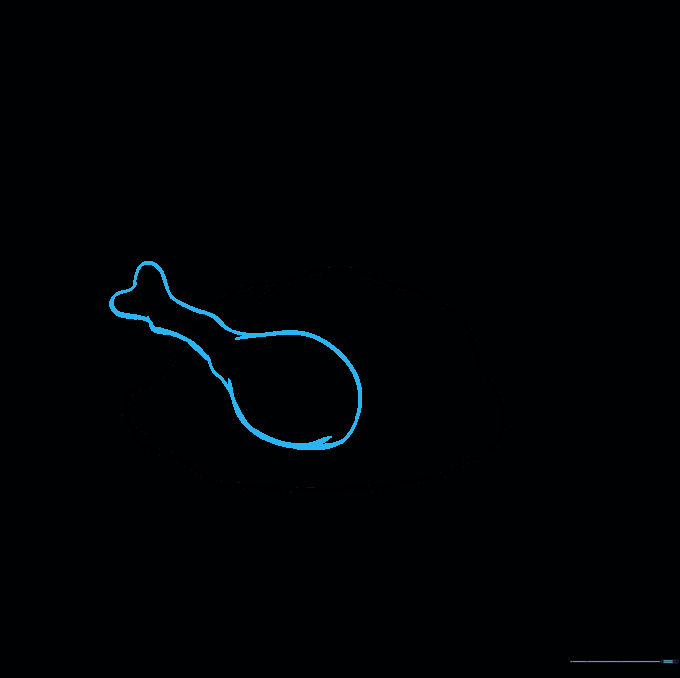 Drawing a turkey leg attached to the main body with a visible bone end.