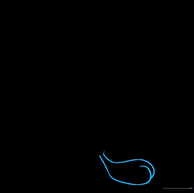 Drawing the first large, rounded foot with toe details.