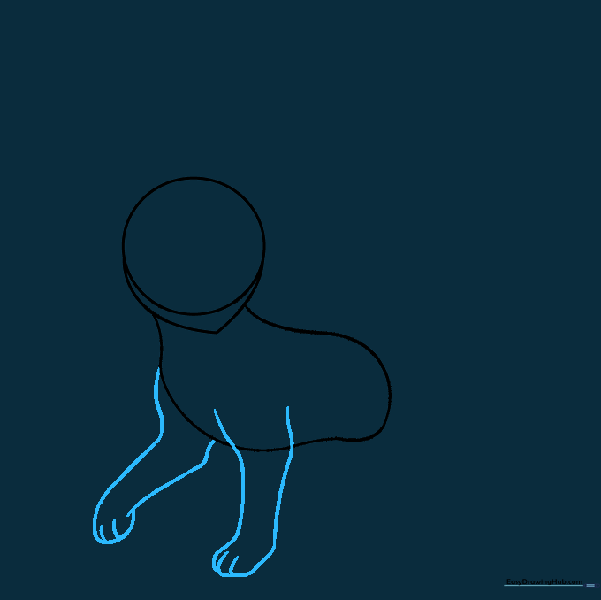 Detailed sketch of Umbreon's front legs with paw and toe definition.