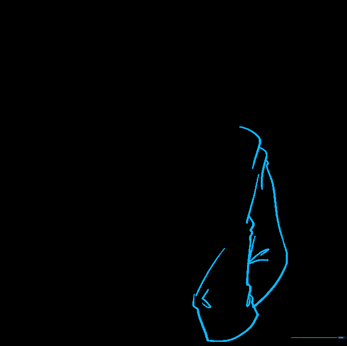 Outline of the jacket shoulder and arm with fabric ripple lines.