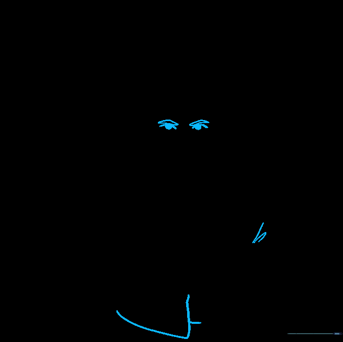 Detailed eyes and eyebrows added to the face.