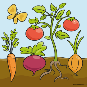 Colorful cartoon vegetable garden illustration featuring carrots, turnips, and a butterfly.