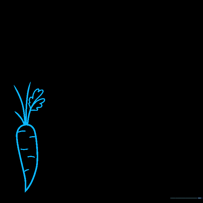 Pencil sketch of a carrot base with leafy tops showing initial construction lines.