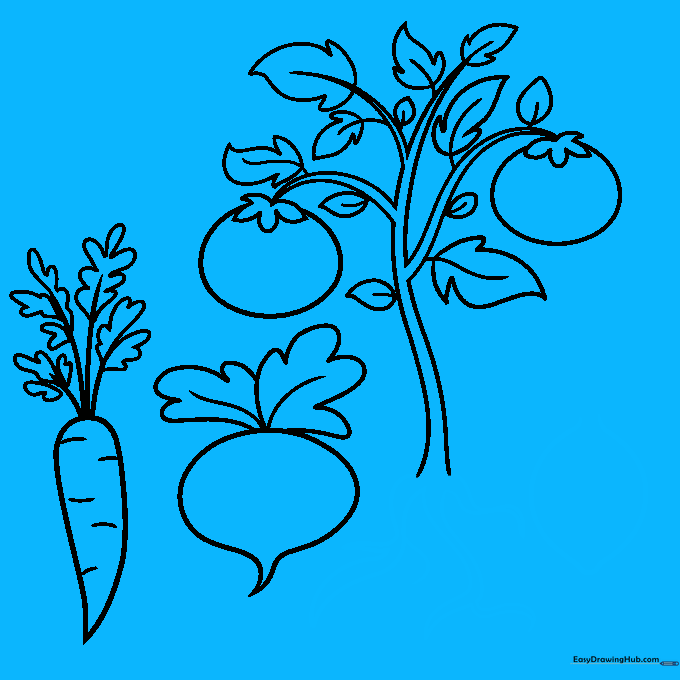 Adding wavy root lines and a new vegetable shape to the garden scene.