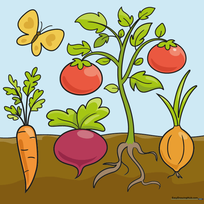 A fully colored, vibrant vegetable garden drawing with a butterfly.
