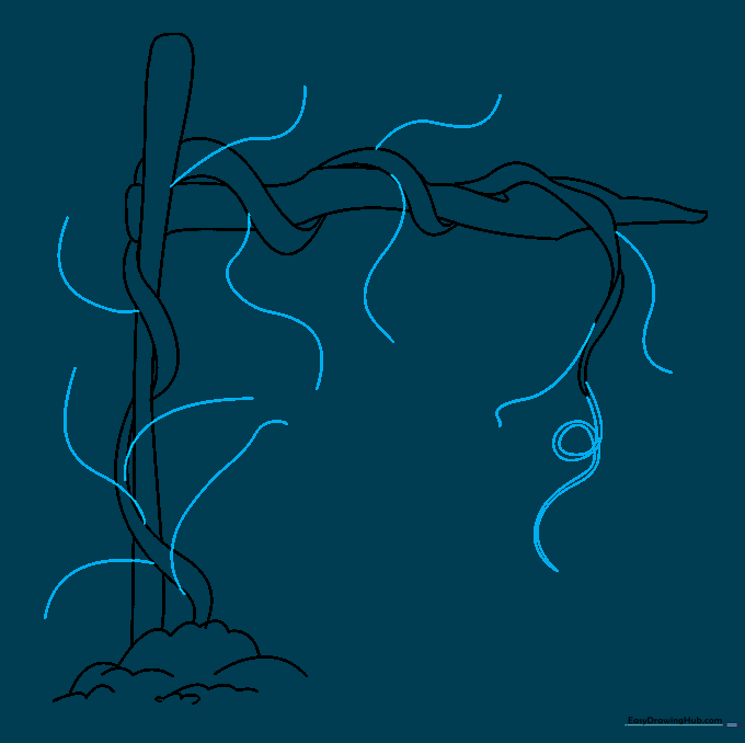 The vine drawing with erased overlapping lines and new twig branches and a spiral tip added.